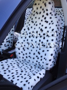 puppy teething smelly breath