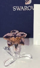 New Swarovski Crystal 2021 SCS Member Gift 5557915 Desert Rose Flower Africa