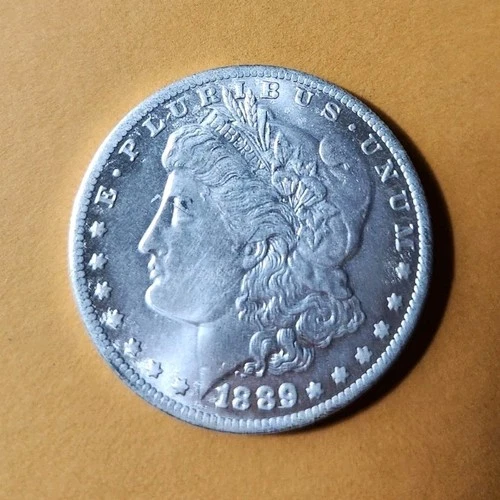 1889 Carson City Morgan Silver Dollar $1 Coin Circulated Business Strike