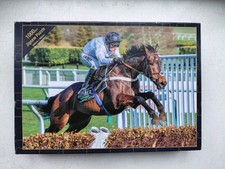 Horse Racing 1000 pieces Constitution Hill at Cheltenham Boinville racehorse 