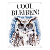 Schneeeule Mit Sonnenbrille Cool Bleiben Metallschild XL In 21X28 Cm