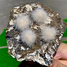 403G Indian dandelion zeolite Quartz Crystal Cluster Mineral Specimen