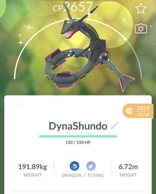  Pokémon GO Shiny Rayquaza PoGo 