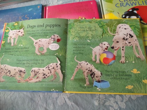 Lot Of 6 Usborne Children's Books 4 Lift-the-flap Things That Go Princess EUC - Bild 6 von 15