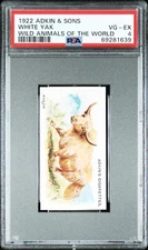 1922 Adkin & Sons Wild Animals Of The World WHITE YAK PSA 4 VG-EX