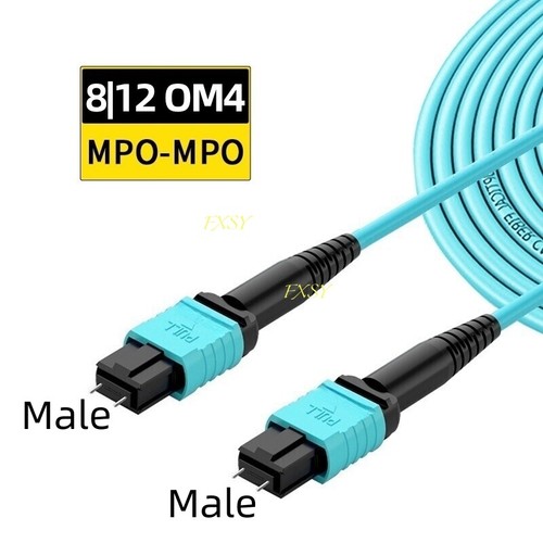 1-40M MPO/PC Male to MPO/PC Male OM4 8|12F Type A Fiber Optic Patch Cord MTP-MTP - 第 1/9 張圖片