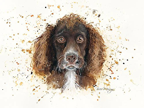 Bree Merryn  Coco the Spaniel Canvas Cutie 15 x 20 cm