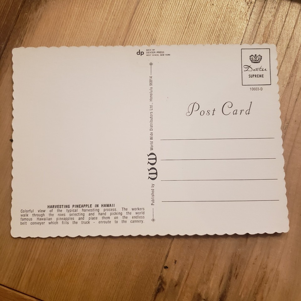 Hawaii Beveled Edge Postcard Photo Souvenir Harvesting Pineapple Farm ...