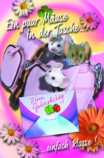 Bild 1 von 1