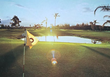 Gran campo de golf Ábaco, Bahamas TREASURE CAY envío al día siguiente
