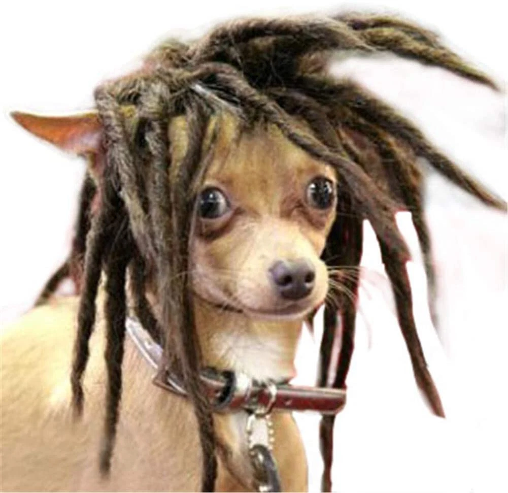 Dreadlock dog cheap