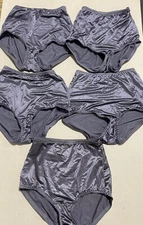 5 Pc Vanity Fair Undershapers Light Control Brief Panty 40301 Steel Violet 5 / S