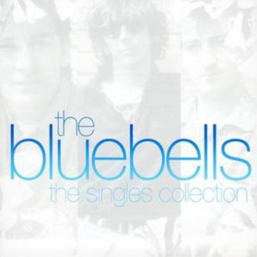 The Bluebells The Platinum Collection (CD) Album