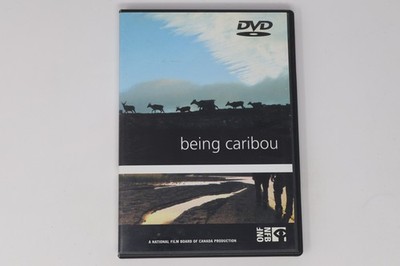 Being Caribou DVD National Film Board of Canada