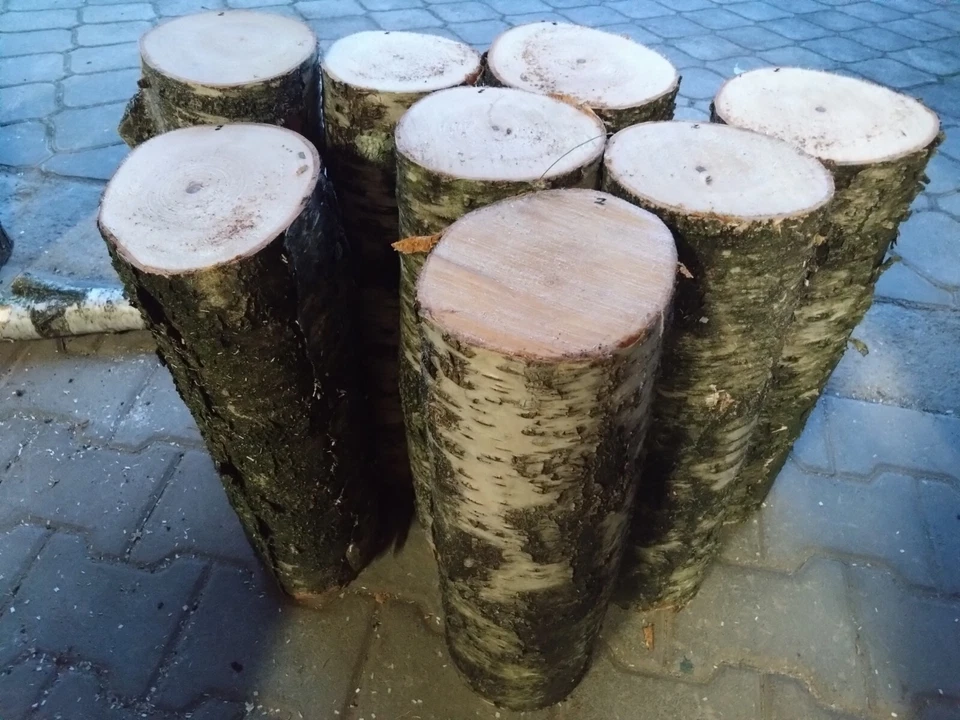 Birkenstamm, Birkenholz, Birkenscheibe, Dekosäule, Blumensäule, Honig, Geschenk, - Bild 2 von 4