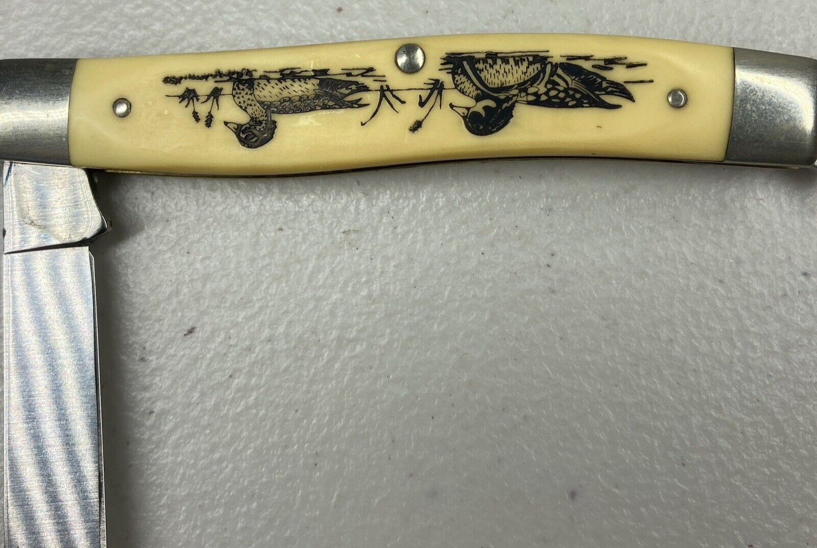 Picture 10 of 18