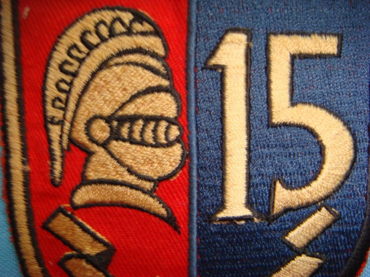 PATCH US NAVY DESTROYER SQUADRON 15 