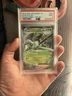 Pokemon PSA 9 Sceptile Ex #007 XY Bandit Ring 1st Edition 2015 Japanese