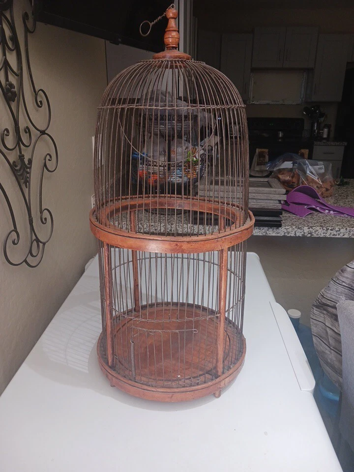 Antique Hanging Bird Cage With Japanese Feathered Bird Home Decor