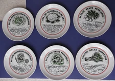 Set of 6 Toscany 7-7/8" Salad Plates - "Vinaigrette" - Japan