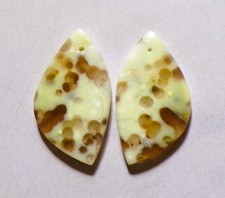 36.65 Cts Natural Green Opal Drilled Cabochon Match Pair Gemstone 33.4X18.4MM 01