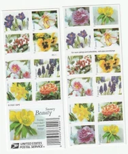 Scott # 5727 - 5736  US  Snowy Beauty  Block 20 stamps  M/NH O/G  Free Ship