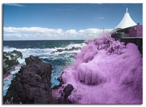 Converted Infrared Full Spectrum Panasonic Lumix DMC-G3 Camera Body 168