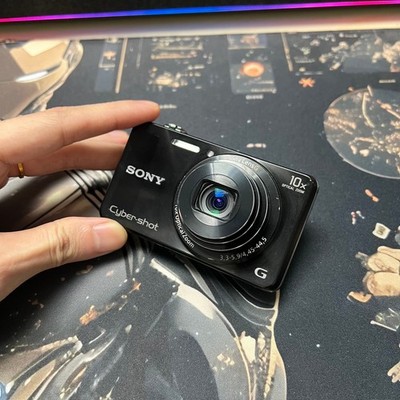 Sony Cyber-Shot DSC-WX220 18.2 MP Digital Camera 10X Optical Zoom Black