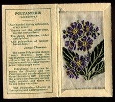 Kensitas Woven Silk Flowers, 1934, Small,1st Series,Folder Type D,POLYANTHUS,#44