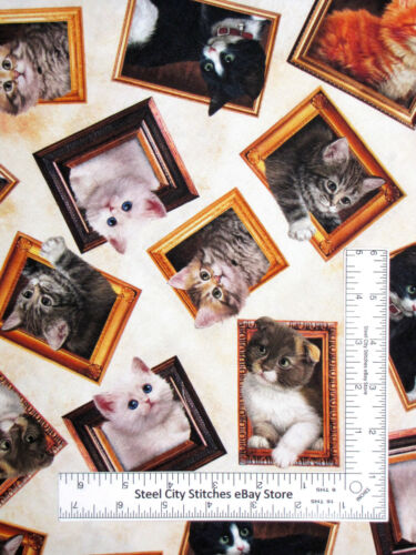 Cat Animal Fabric Kitten Cats Frames Ecru Literary Kitties Cotton QT By The Yard - Picture 3 of 3