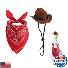 Tinoaly Western Cowboy Porch Goose Outfits, Funny Cement Goose Costume with H