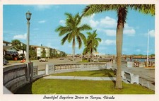 Tampa Bay FL Florida Bayshore Drive Davis Islands 1960s Cars Vtg Postcard M12