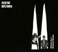 Voices In A Rented Room - 375 Media - (Cd / V)