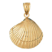 New 14k Yellow Gold Shell Pendant