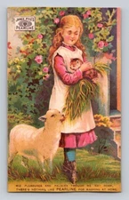 James Pyles Pearline Girl Holds Cat Sheep Lamb Quack Medicine P376