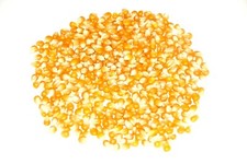 Pop Corn 1Kg / Popcorn / Corn