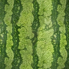 Watermelon Rind 22 - 18"x46" Hydrographic Film Hydro Dipping