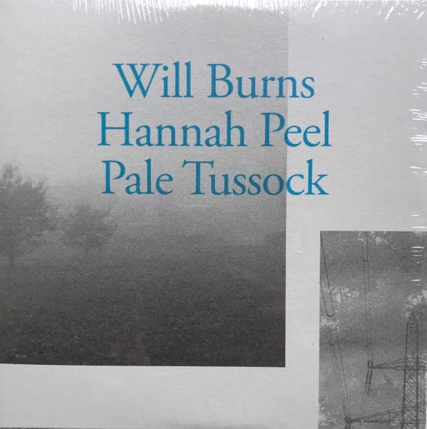 Will Burns and Hannah Peel Pale Tussock 7 Inch Vinyl NEW