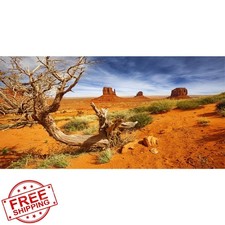 AWERT 72x24in Orange Desert Reptile Background