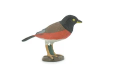 Toy Bird, American Robin, Realistic Figure Model Replica Toy Gift 3" CH717 BB174
