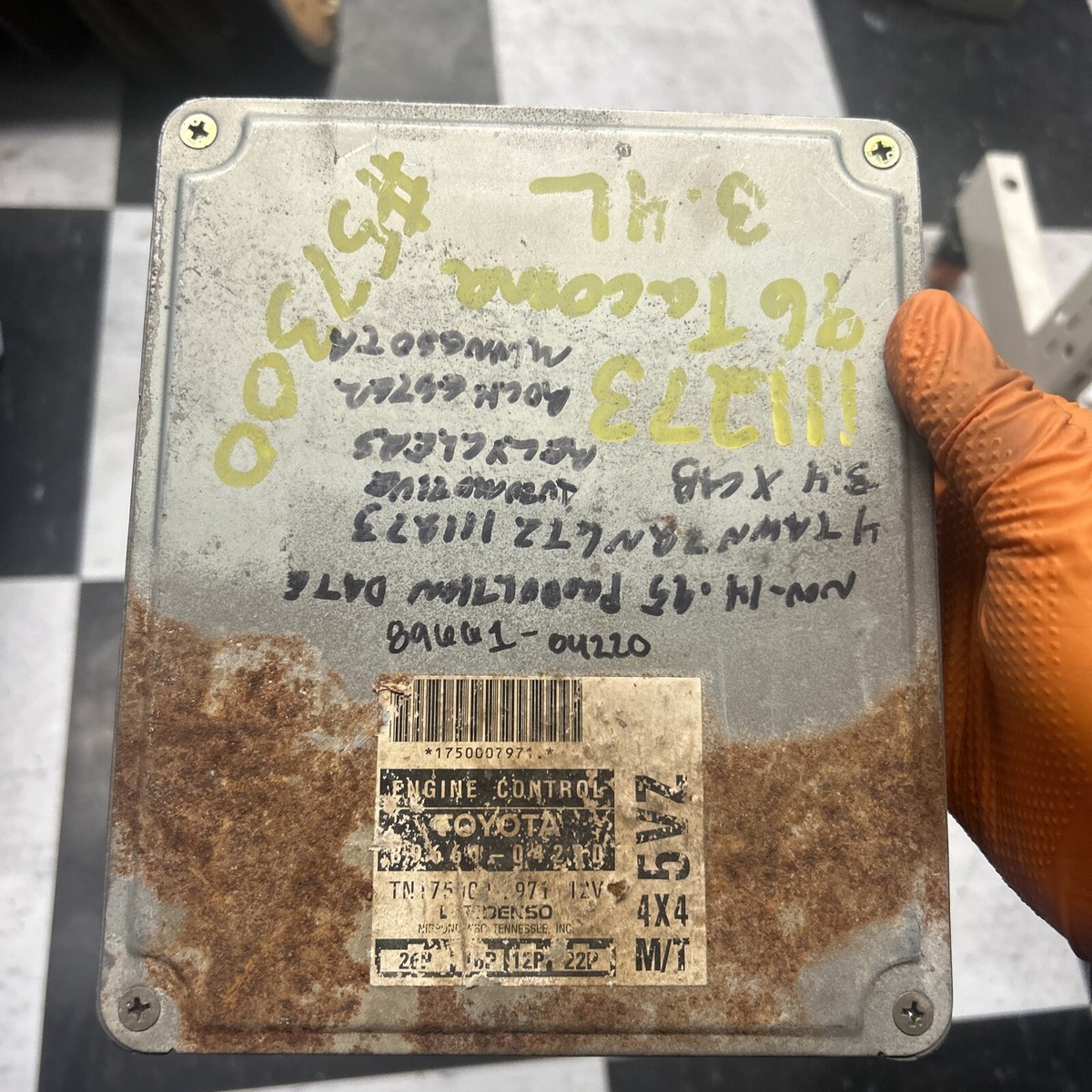 テレビ Kazutomo Gocho $_57.JPG?set_id=8800005007