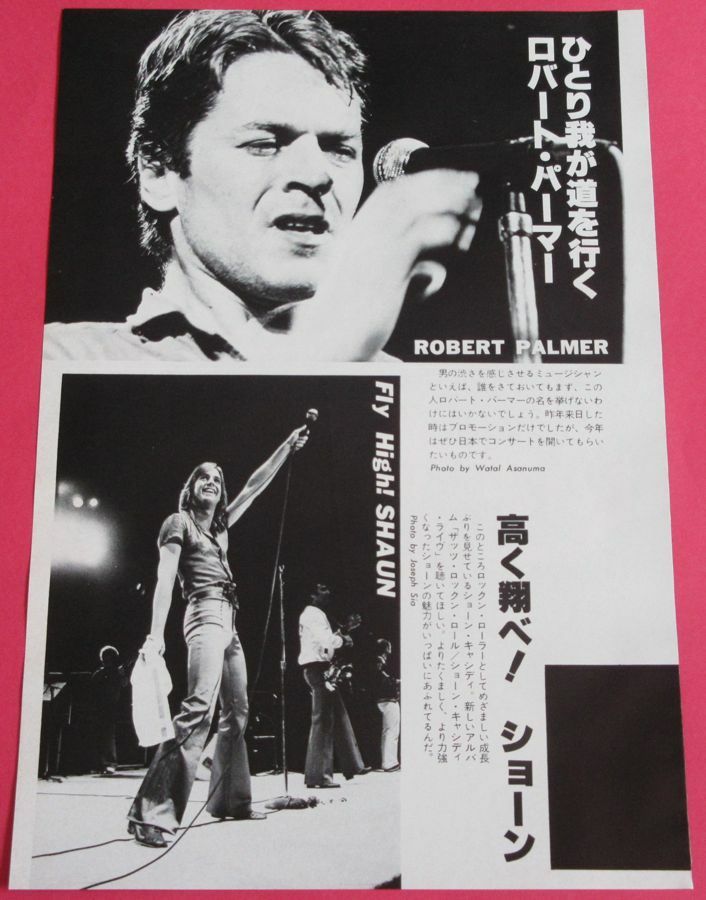Robert Palmer Shaun Cassidy Bob Dylan 1980 Clipping Japan Magazine Ml 2F