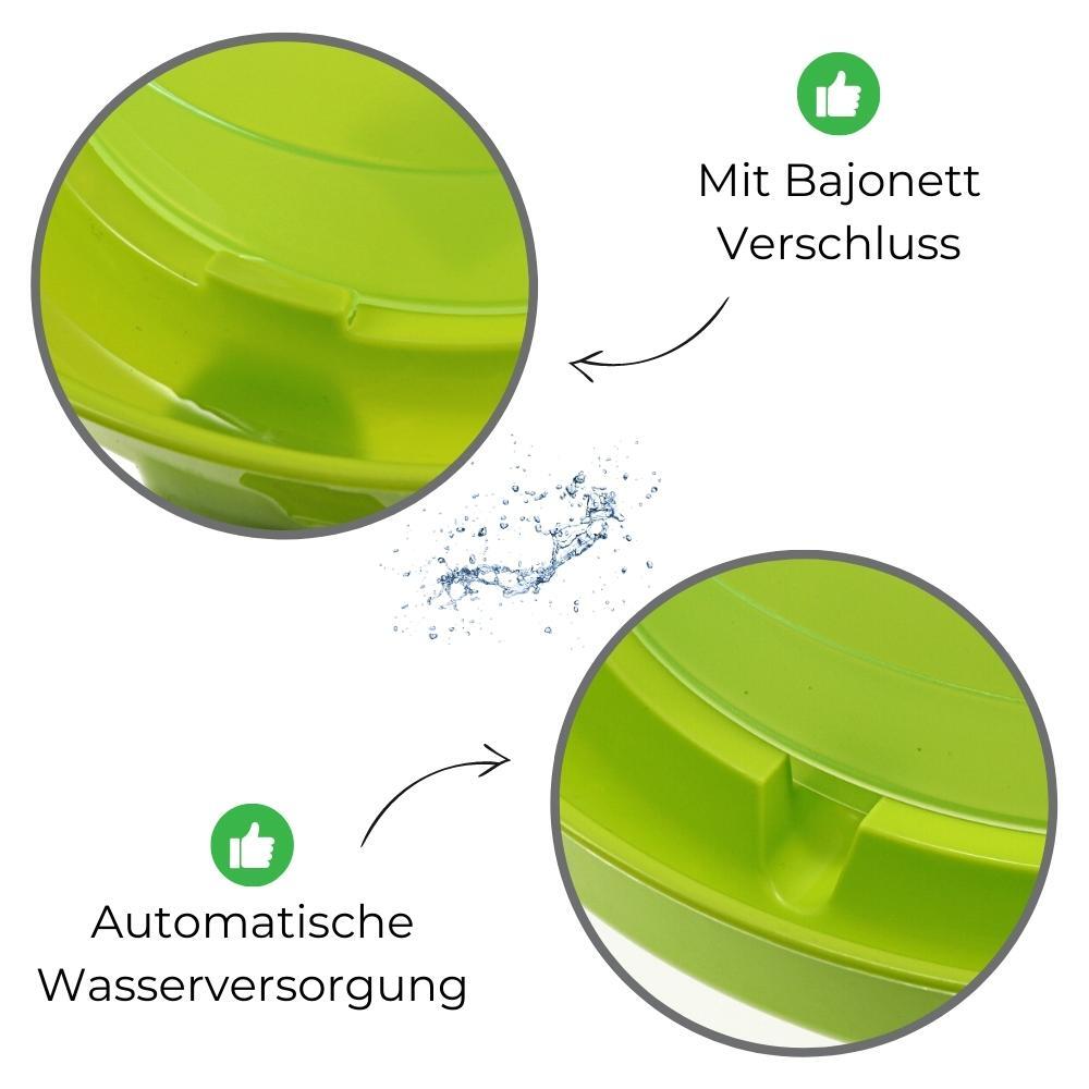 Bild 6 von 17