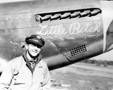 P-51 Mustang "The Bitch" nose art World War II WWII WW2 8x10 Photo 329c