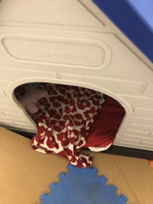 Puppy Play Box From Bunnings Pet Products Gumtree Australia Eastern Suburbs Bronte 1255301690