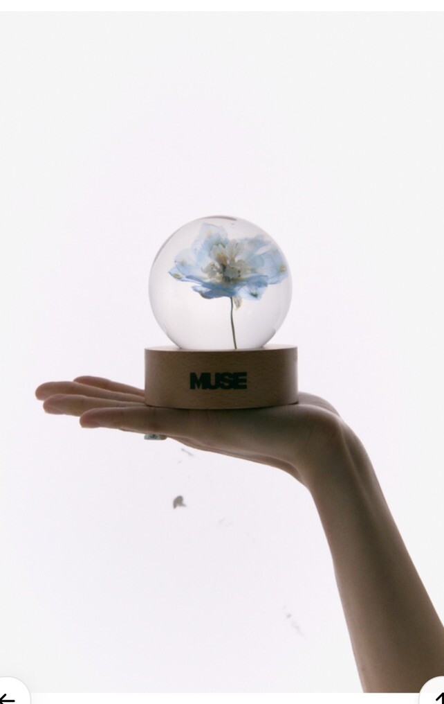 JIMIN MUSE ペーパーウェイト BTS Jimin Muse BLOOMING ver. Flower Paper Weight NEW item