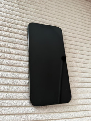 Apple iPhone 13 Pro Max - 256GB - 100% Batterie - Topzustand - Graphite