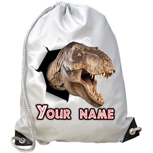 dinosaur swimming bag