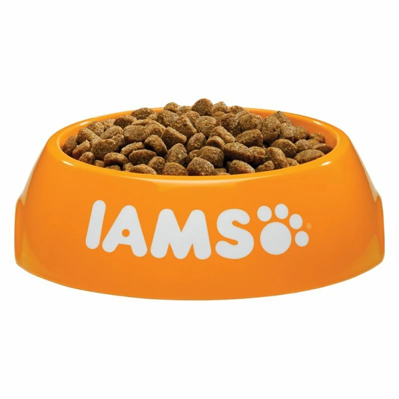 Iams mature cheap dog food