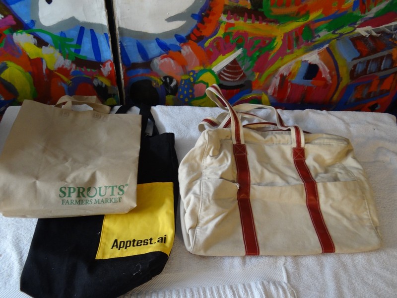 Lot of 3 Bags
